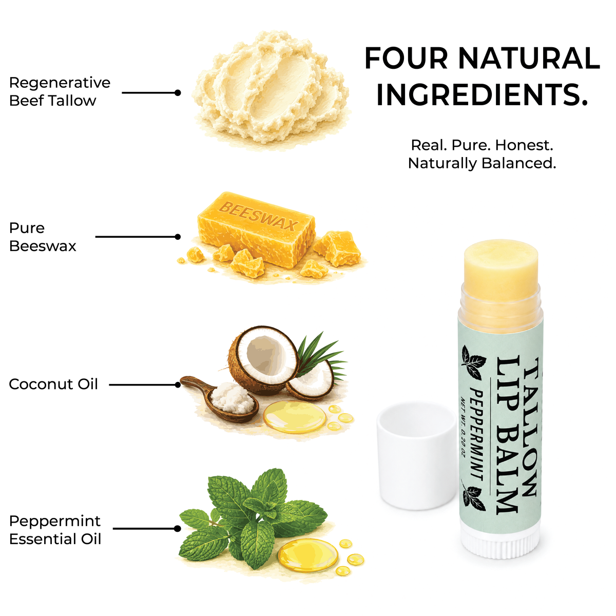 Lip balm with natural ingredients including beef tallow, beeswax, coconut oil, and peppermint essential oil on a white background.