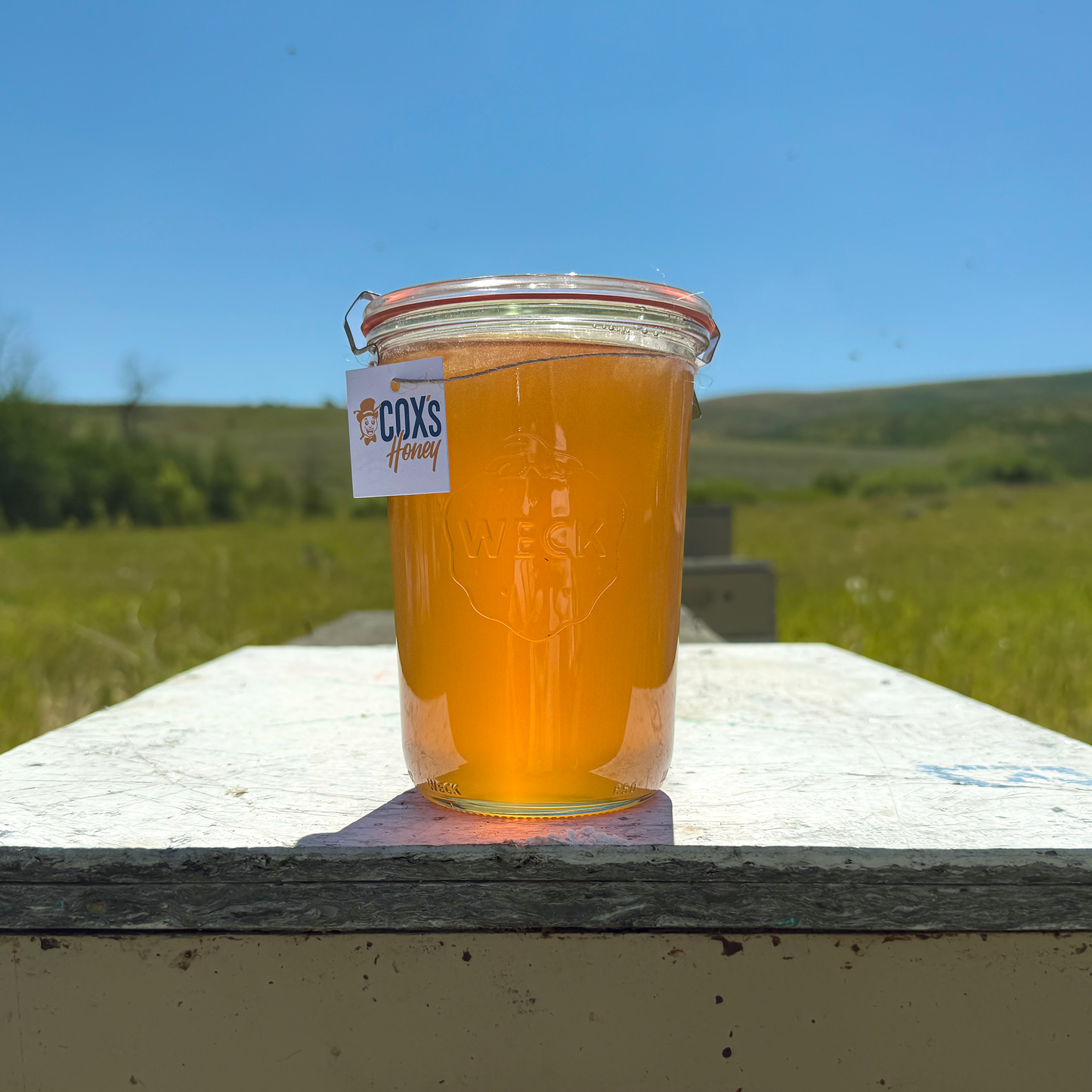 Weck Glass Jar of raw unfiltered honey with a COX'S Honey label on a wooden surface outdoors.