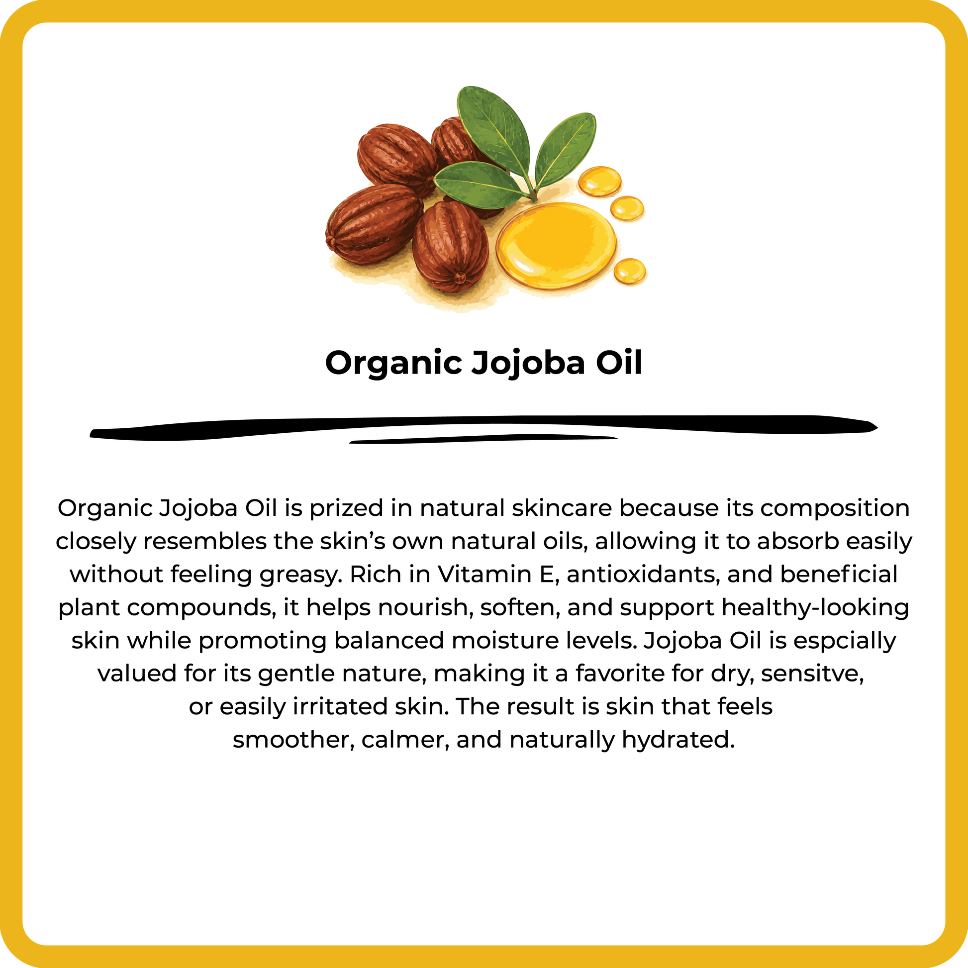 Organic jojoba oil with jojoba seeds and oil droplets on a white background.