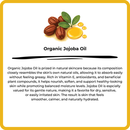 Organic jojoba oil with jojoba seeds and oil droplets on a white background.