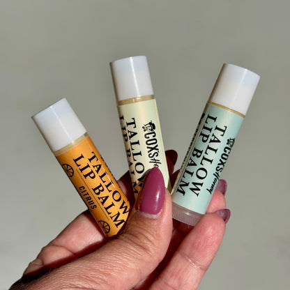 Three lip balms held by a hand with a neutral background