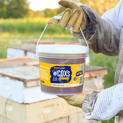 Coxs Honey Raw & Unfiltered Clover 12 lb Hive Shot