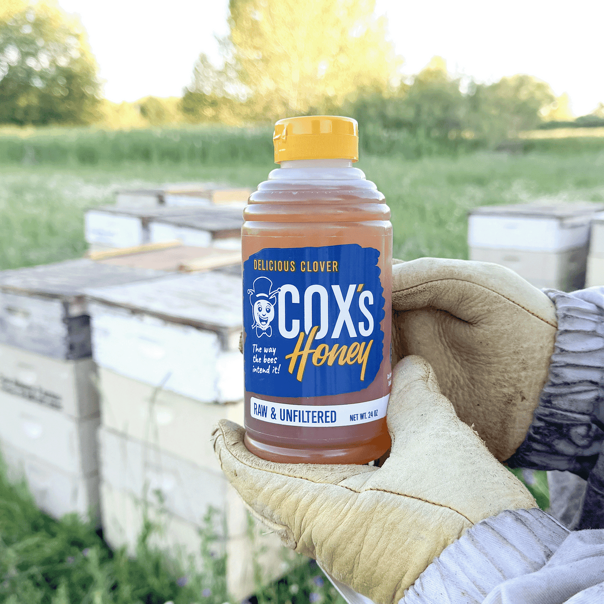 Coxs Honey 24 oz botle hive shot
