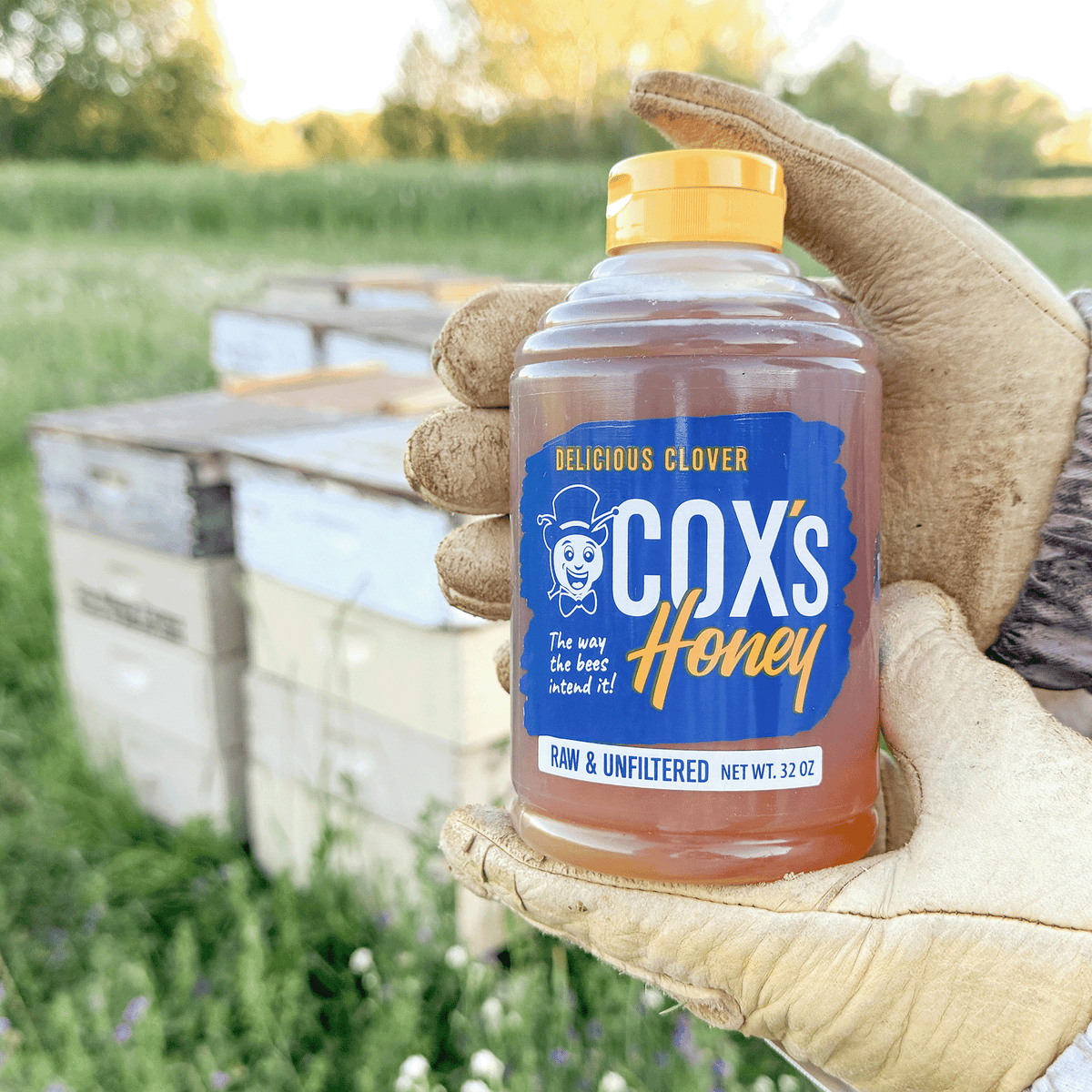 A hand wearing a tan beekeeping glove holds a bottle of Cox's Clover Honey in front of beehives in an outdoor field.