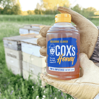 A hand wearing a tan beekeeping glove holds a bottle of Cox's Clover Honey in front of beehives in an outdoor field.