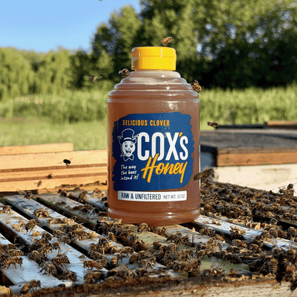 Coxs Honey Clover 32 oz Open Hive Shot with Bees