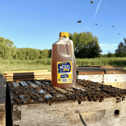 Coxs Honey Clover 5 lb Open Hive Shot with Bees