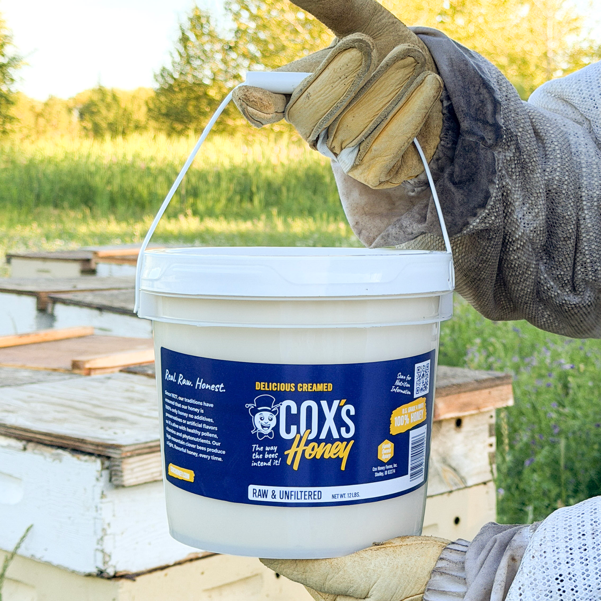 Coxs Honey Creamed 12 lb Hive Shot