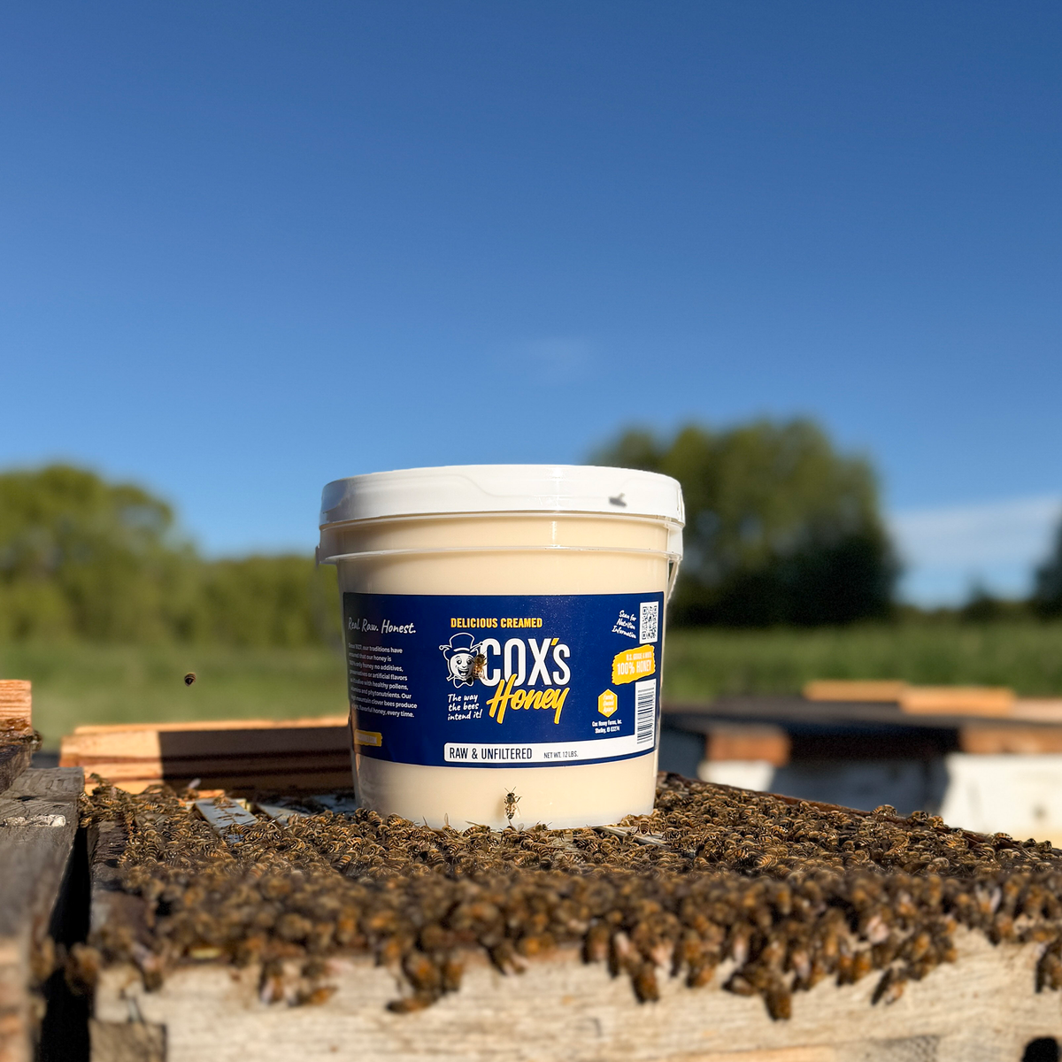 Coxs Honey Creamed 12 lb Open Hive Shot with Bees