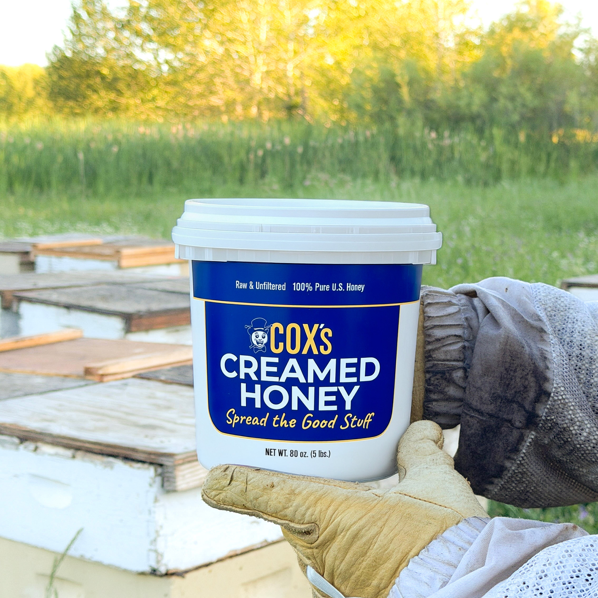 Coxs Honey Creamed 5 lb Hive Shot