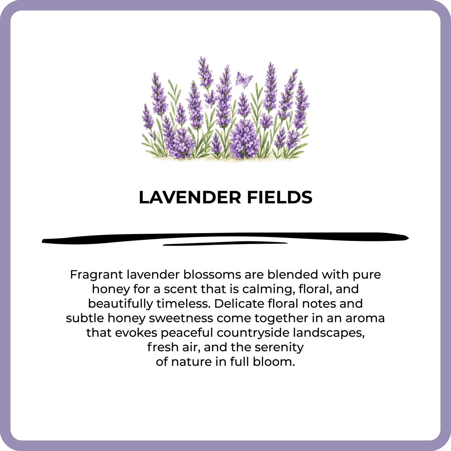 Advertisement for lavender fields with lavender flowers and descriptive text.