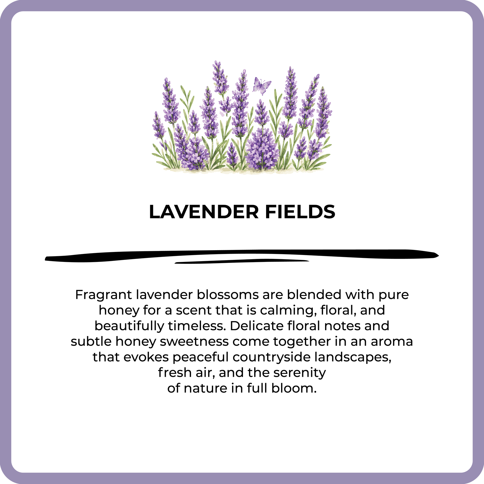 Advertisement for lavender fields with lavender flowers and descriptive text.