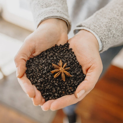 Hands holding elderberries