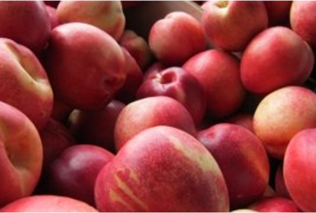 Close-up of a pile of nectarines
